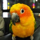 유경동물병원 이미지