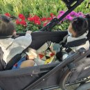 [폼포라 웨건 후기] 아이 두명도 문제 없는 폼포라 웨건