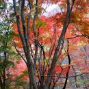 남창주유소 이미지