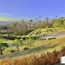 서울목장 이미지