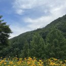 충북알프스자연휴양림[후기]