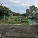 영암유진 이미지