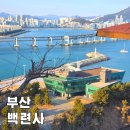 백련사입구 공중화장실 | 부산 뚜벅이 당일치기 여행 용호동 백련사 광안대교 바다뷰 사찰