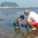 성산읍 한도교 이미지