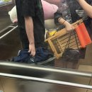 궁평항 수산물직판장 공중화장실 | 궁평항 차박 / 궁평항 수산물 시장 (화장실 O, 주차장)
