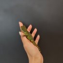 더크레드