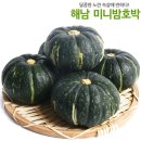 성현물산