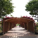 왕관식당 이미지