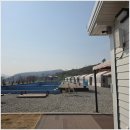 별빛관광농원글램핑장 | 봄기운 느끼기 좋은 감성캠핑 아산글램핑장 큰집관광농원감성캠핑 후기