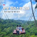 우붓 여행 발리스윙 정글스윙 그네 예약 후기