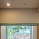 부산 서구 대신동 / 강아지 유치원 놀이방 '몽슈하우스' 내돈내산 이용 후기