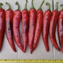 전북농약사 이미지