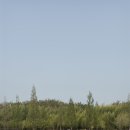 빵그루밍 이미지