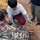 억새어린이공원 이미지