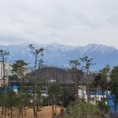 대중초등학교 | 중국 당나라 말기 시인 온정균의 보살만(菩萨蛮) 1수 특징과 의미