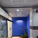 wellness | 수원나만의안식처 톤스웰니스클럽 TONCE Wellness Club 내돈내산 후기