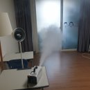 일등시스템