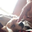 여우별미용실