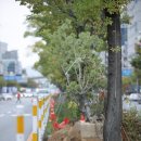 상무대로1-2 연합뉴스