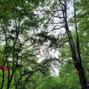 안골길 45 이미지