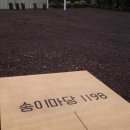 송이마당1198 이미지