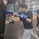 성남 탑 복싱 이미지