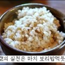 보리밥 이미지