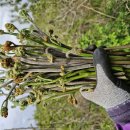 금당목장 이미지