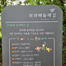 보라매 행정사 이미지