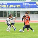 정선정보공업고등학교 이미지