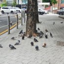 마포, 걷고싶은길 2코스 이미지
