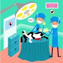 명동물병원 이미지