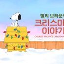 루시애플