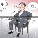 253 이미지