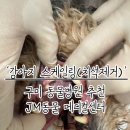JM메디칼 네이버블로그