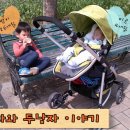 아우라 젠 이미지