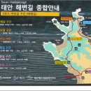 길2 Daum카페