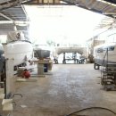 빅베어마린 이미지