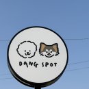 상조 마을회관 | 평택애견카페, 만세로애견카페 / 야외 300평대 인조잔디 / 댕스팟