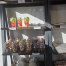 식빵싸부 | [내돈내산]울산 식빵싸부 삼산점 카스테라 후기