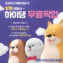 하이댕 이미지