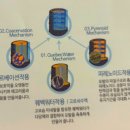 바디카클리닉 이미지