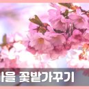 월악산꽃피는산골
