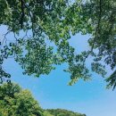 강산 이미지
