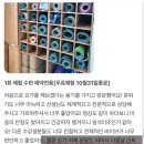 요가플 | 범계 헬스장 요가가 운동이 되냐고?!?