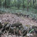 제주의사계 이미지