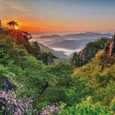 명산 Daum카페