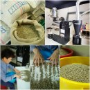 로타커피 이미지