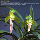 녹원 이미지