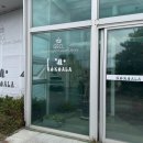 코우코알라 이미지